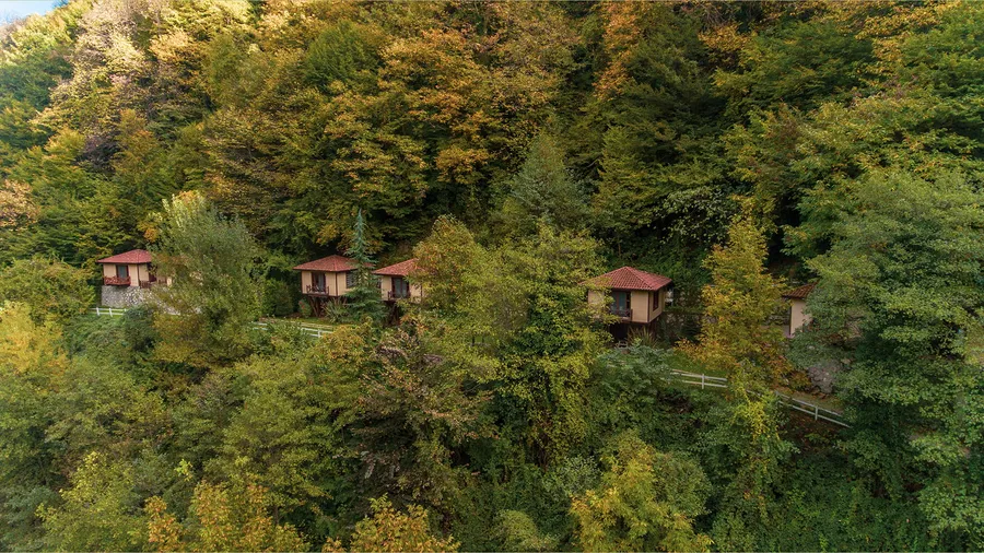 2-Day Sapanca and Maşukiye Itinerary